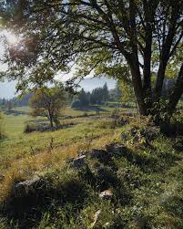 images-2 Combinare natura ed emozioni per una vita serena
