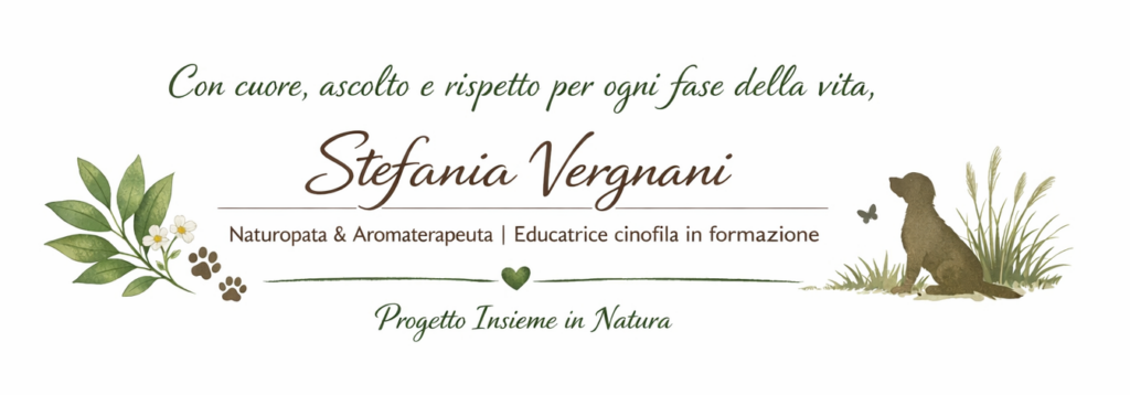 ChatGPT-Image-21-feb-2026-10_57_09-e1771668051443-1024x358 I nostri animali sognano? Cosa dice davvero la scienza