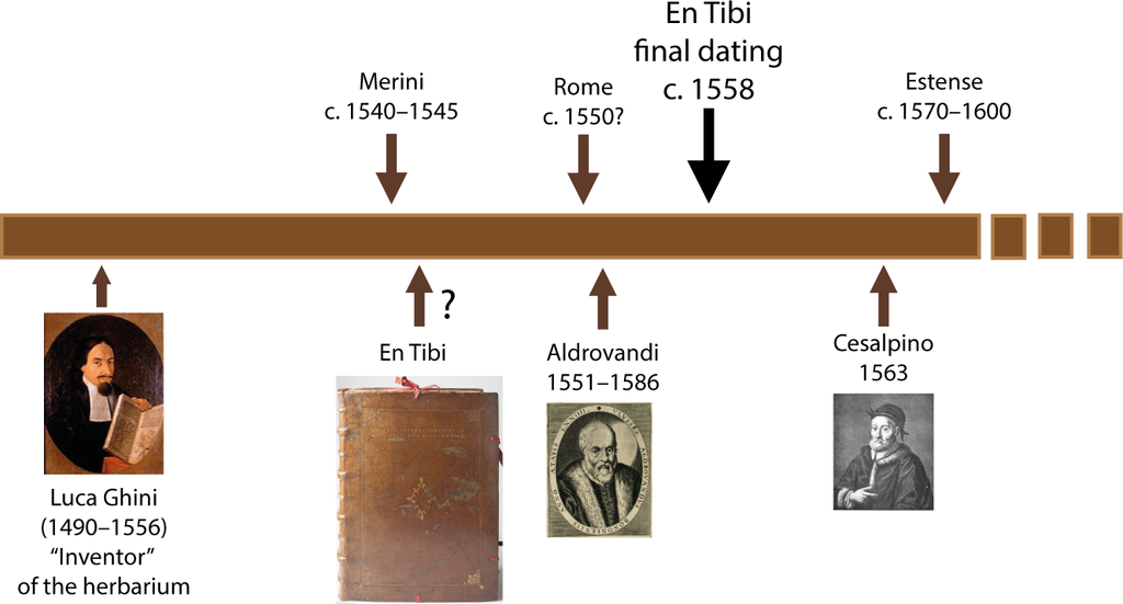 2-1024x551 Un giardino che non appassisce: la storia dell’erbario antico di quasi 500 anni